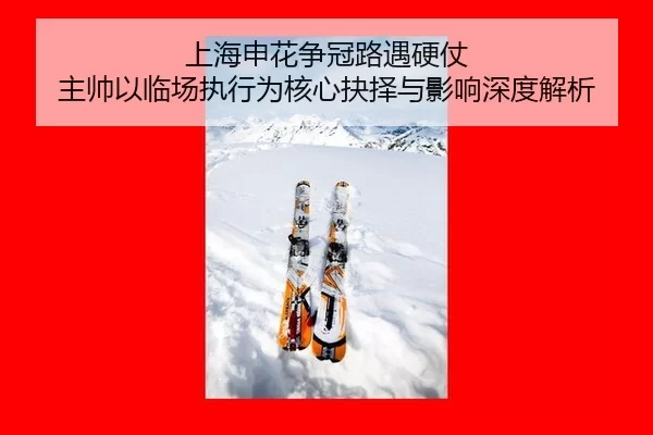 shang-hai-shen-hua-zheng-guan-lu-yu-ying-zhang-zhu-shuai-yi-lin-chang-zhi-xing-wei-he-xin-jue-ze-yu-ying-xiang-shen-du-2-198.jpg